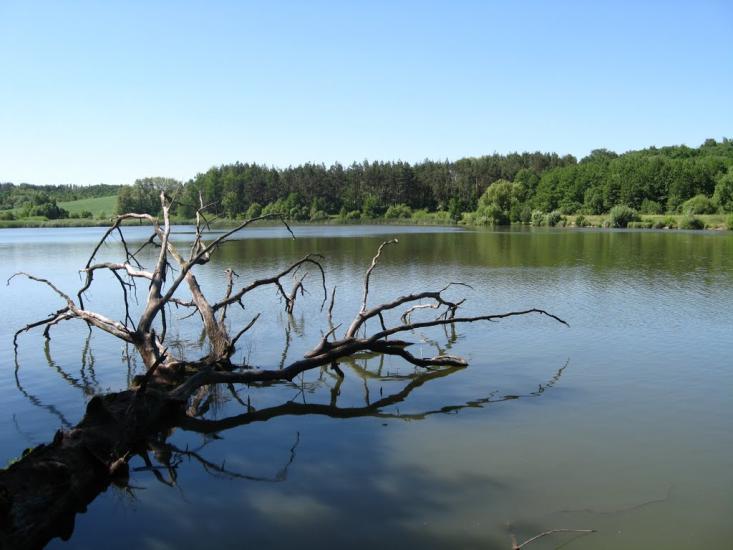 Северинівка з panoramio.com - Северинівка