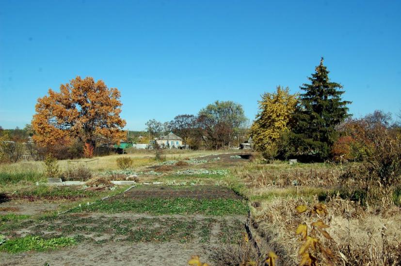 Кудряшівка з panoramio.com - Кудряшовка