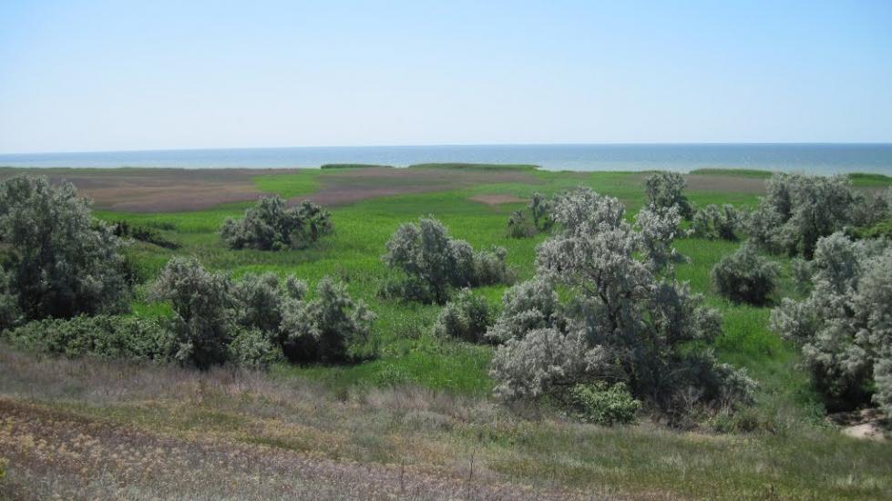 Лупареве з panoramio.com - Лупареве