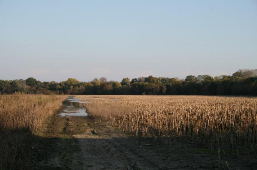 Троїцьке з panoramio.com - Троицкое