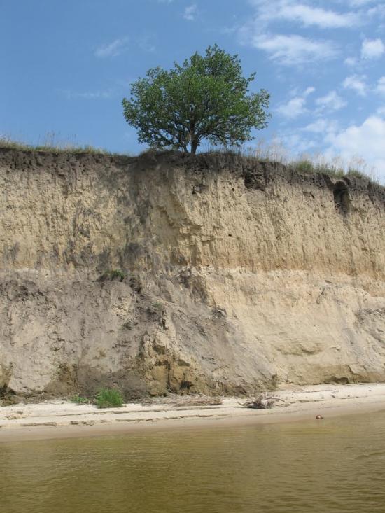 Пронозівка з panoramio.com - Пронозовка