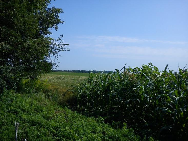 Березівка з panoramio.com - Березівка