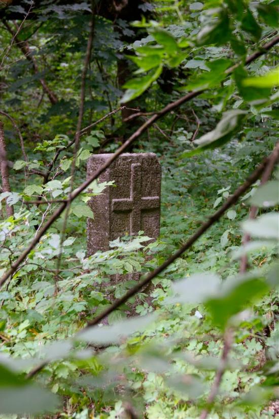 Пшеничники з panoramio.com - Пшеничники