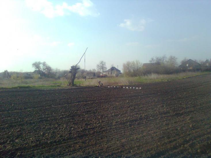 В'язівок з panoramio.com - В'язівок