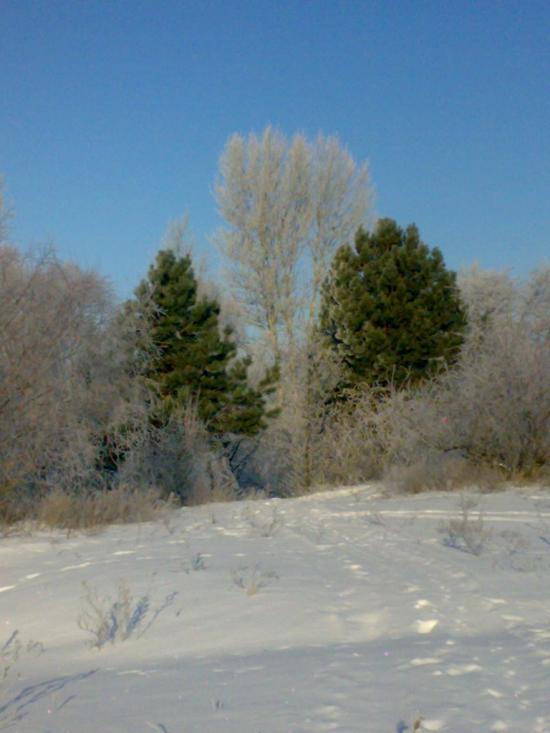Осещина з panoramio.com - Осещина