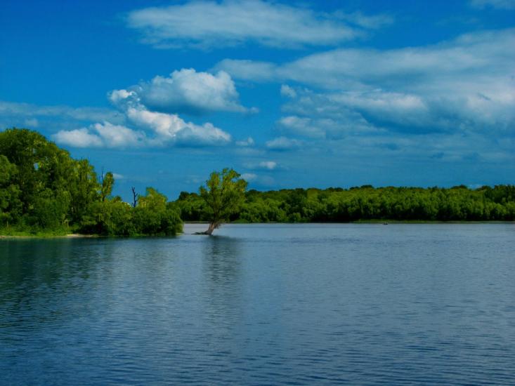 Осещина з panoramio.com - Осещина