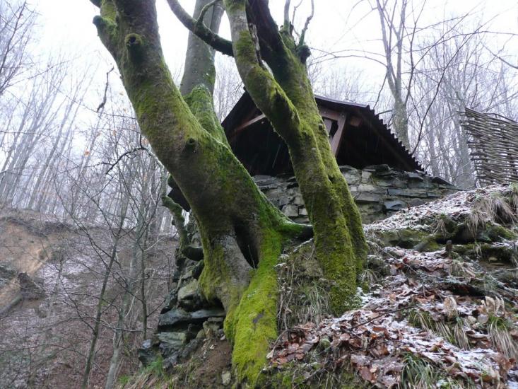 Поляна з panoramio.com - Поляна