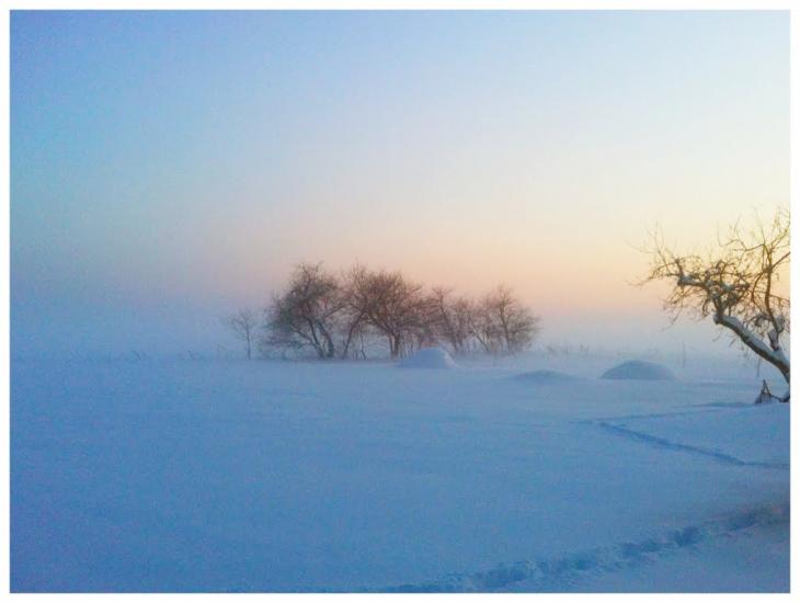 Забріддя з panoramio.com - Zabriddya