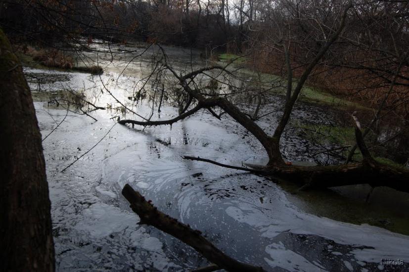 Капітанове з panoramio.com - Капітанове