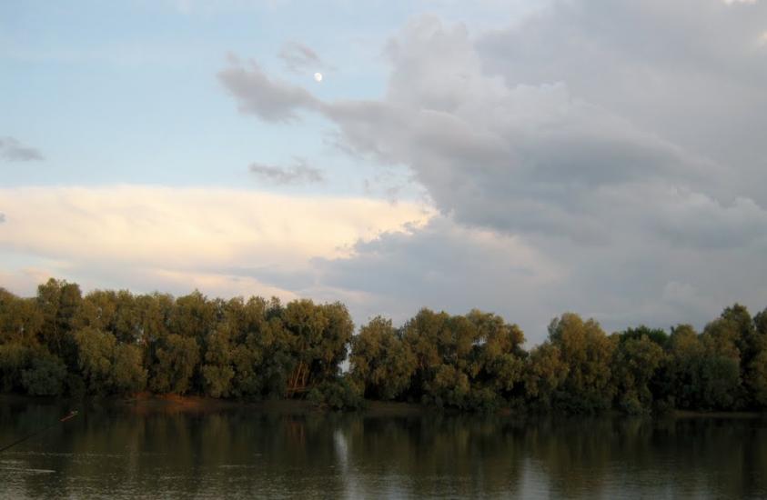 Кислиця з panoramio.com - Кислица