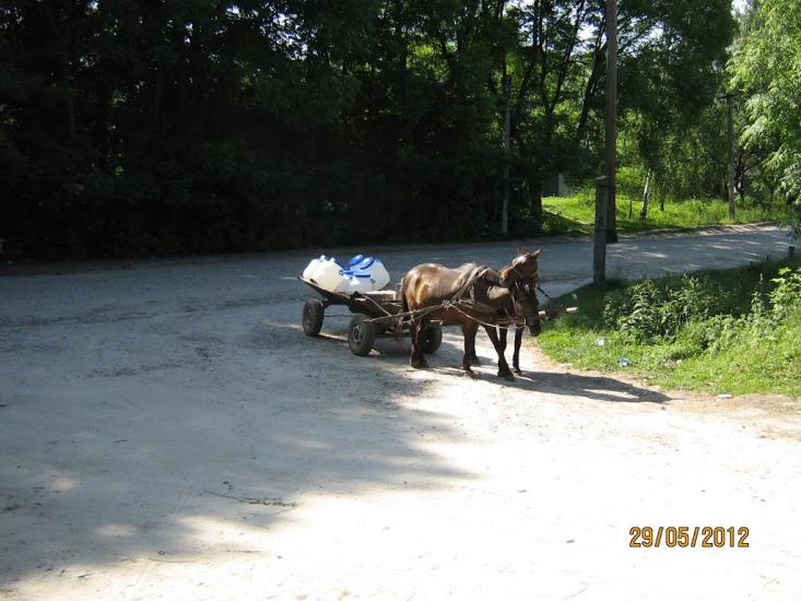 Добрин з panoramio.com - Добрин