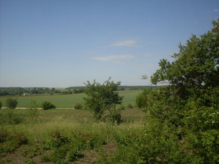 Соколівка з panoramio.com - Соколівка