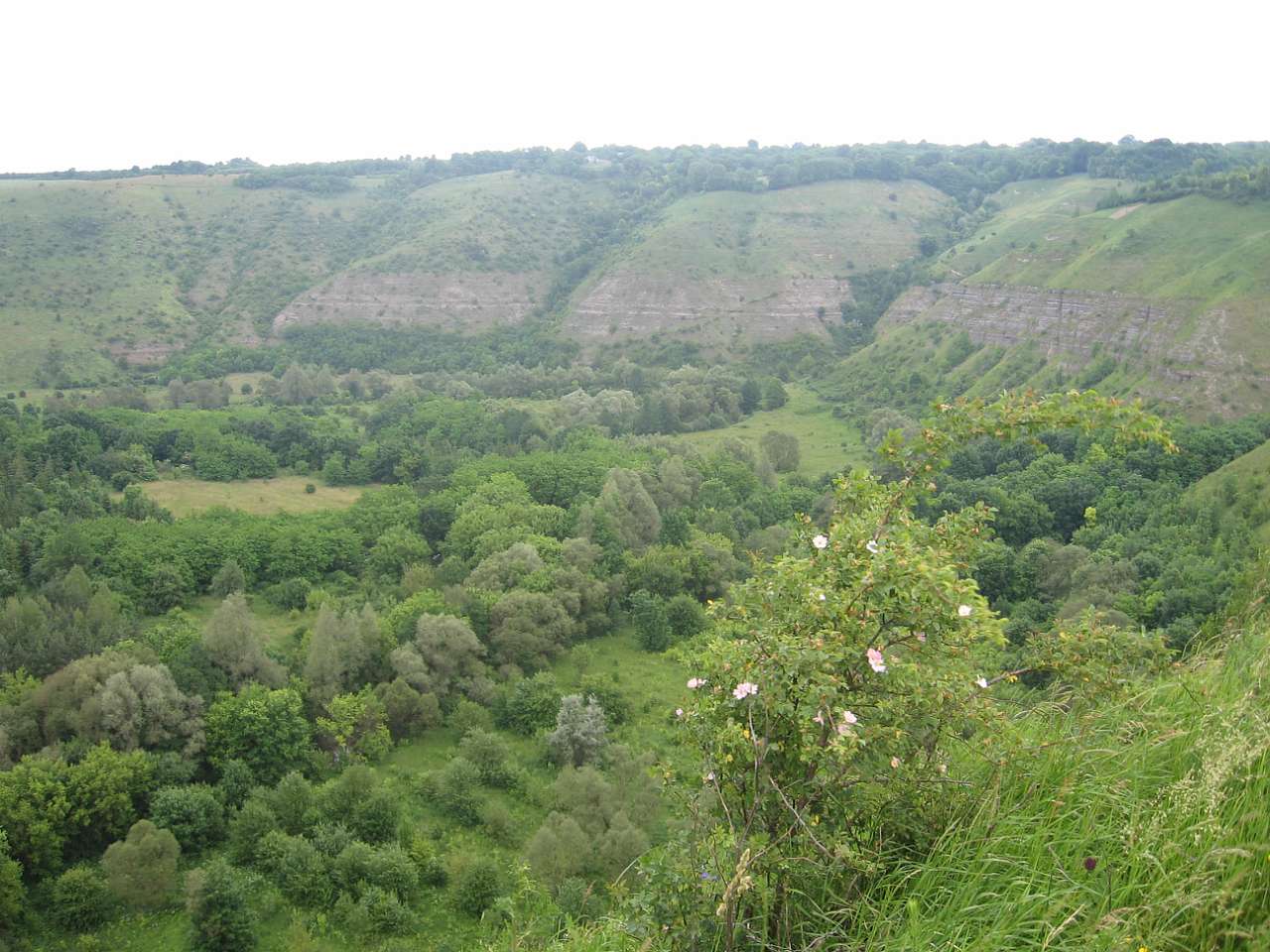 природа - Китайгород