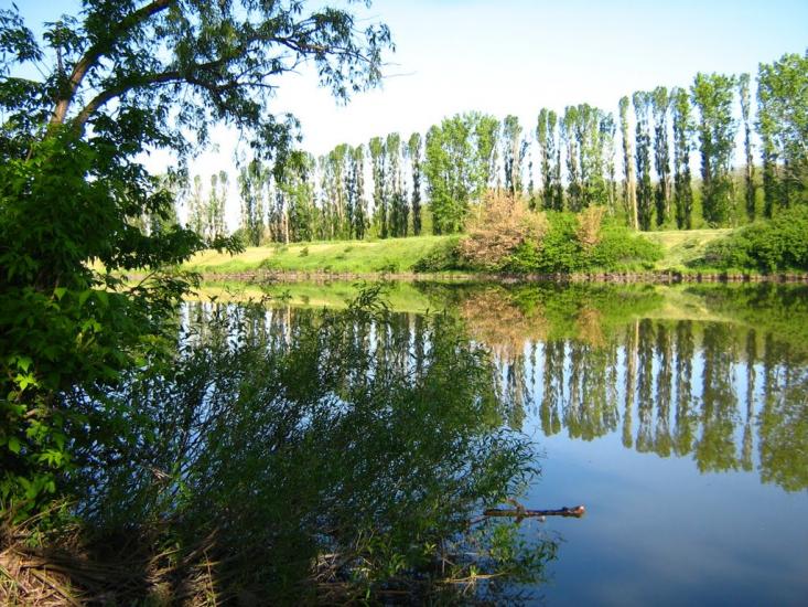 Калінінське з panoramio.com - Калінінське