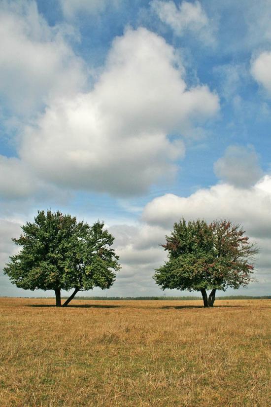 Кикова з panoramio.com - Кикова