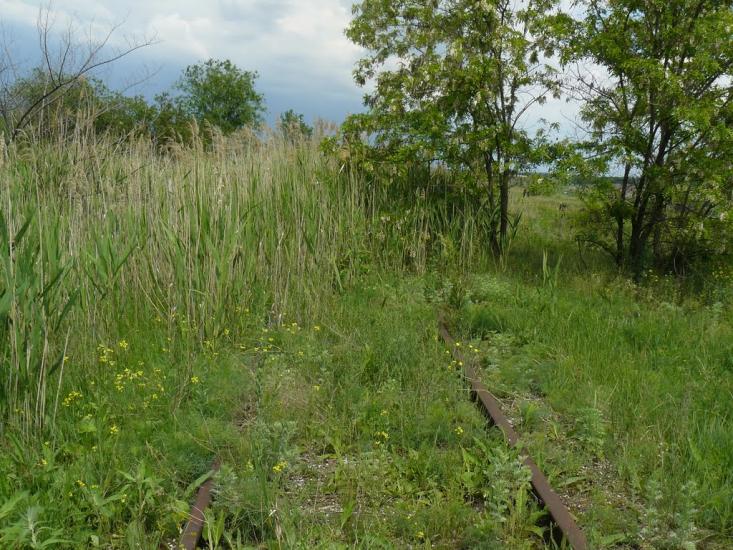 Степногірськ з panoramio.com - Степногорск
