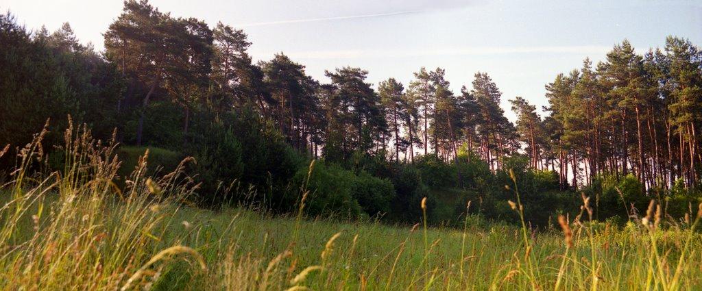 Почапи з panoramio.com - Почапи