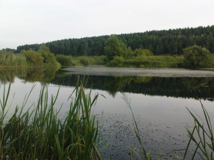 Вариводки з panoramio.com - Вариводки