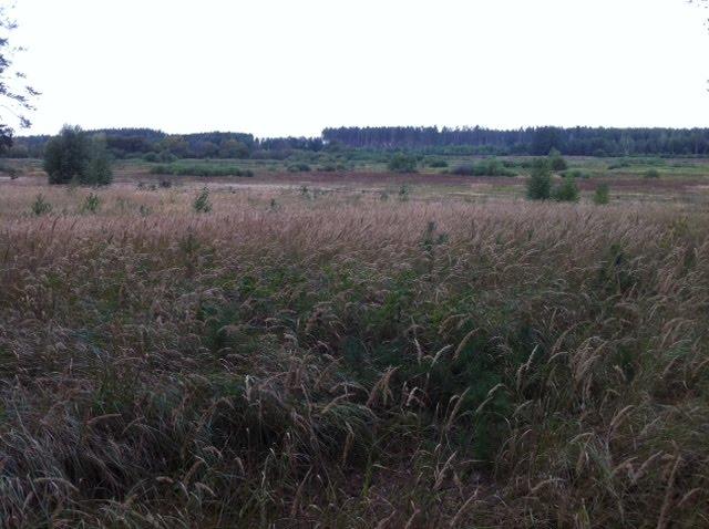 Здвижівка з panoramio.com - Здвижівка