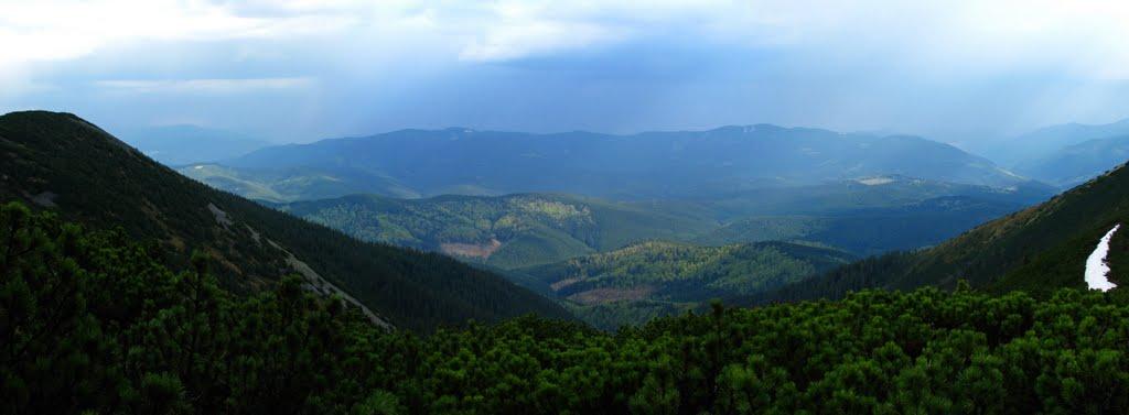Осмолода з panoramio.com (ч.2) - Осмолода