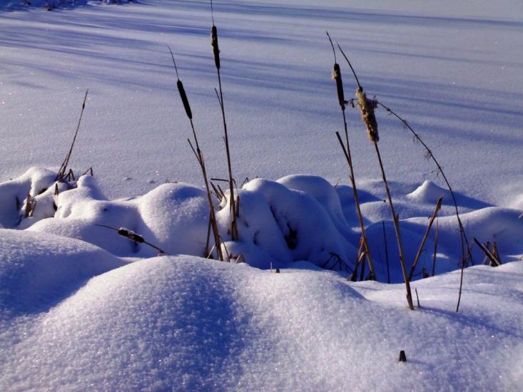 Городня з panoramio.com - Городня