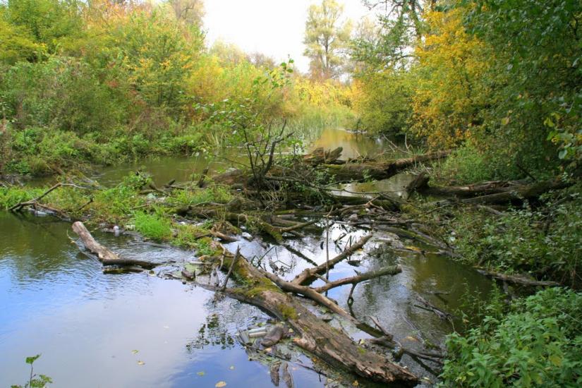 Торське з panoramio.com - Торське