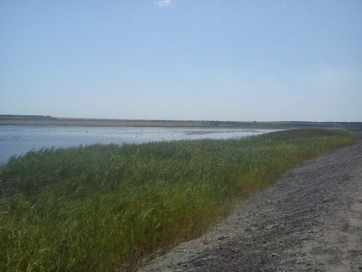 Ювілейне з panoramio.com - Юбилейное