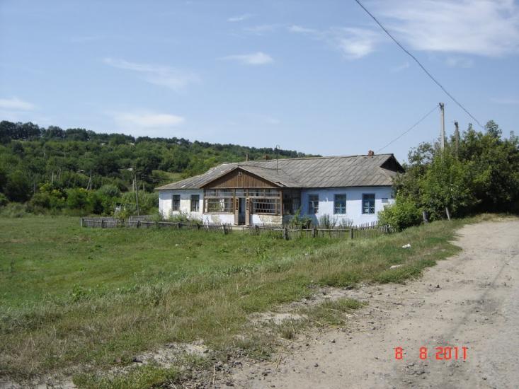 Дібрівка з panoramio.com - Дібрівка