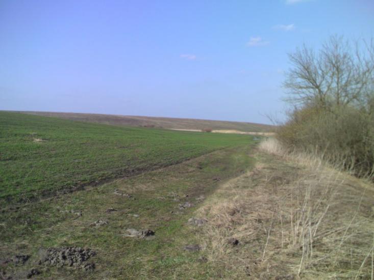 Темногайці з panoramio.com - Темногайцы