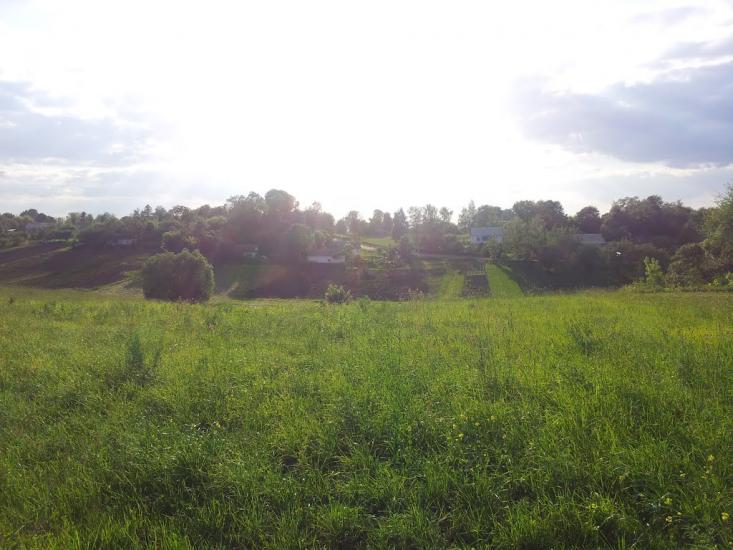 Темногайці з panoramio.com - Темногайці