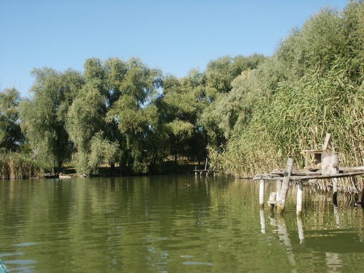 Андріївка з panoramio.com - Андреевка