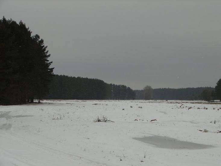 Авдіївка з panoramio.com - Авдіївка