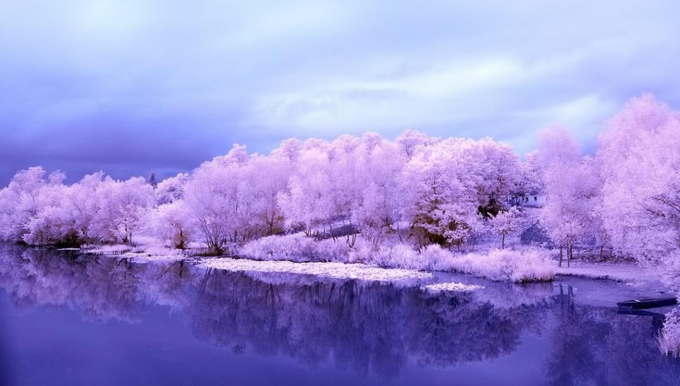 М'якохід з panoramio.com - М'якохід