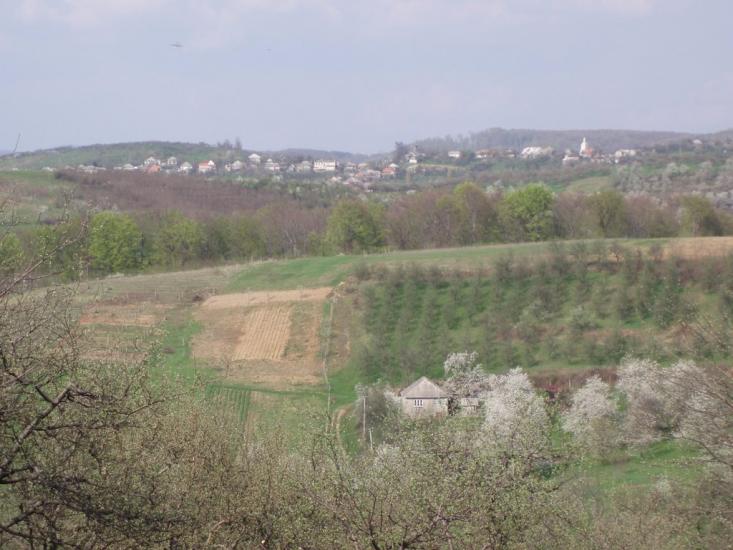 Хижа з panoramio.com - Хижа