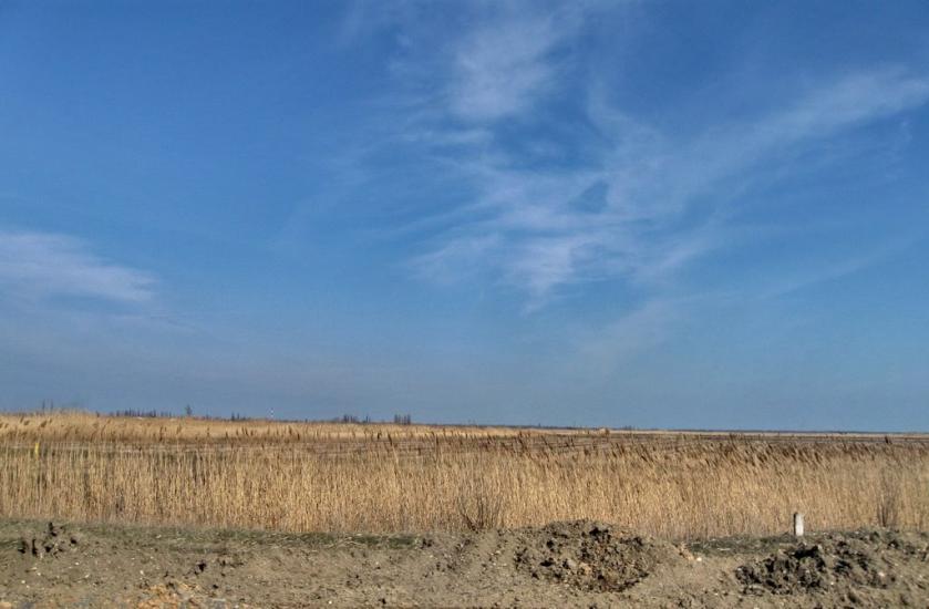 Рисове з panoramio.com - Рисове