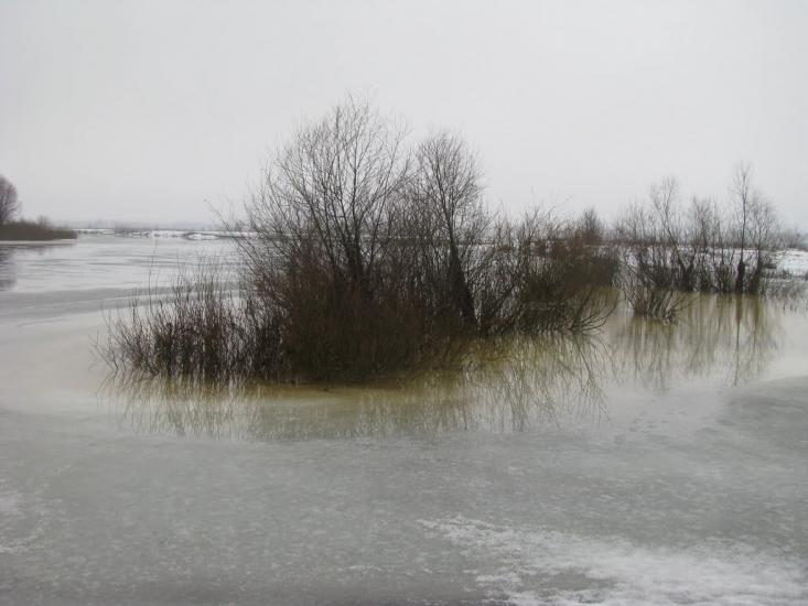 Миси з panoramio.com - Mysy