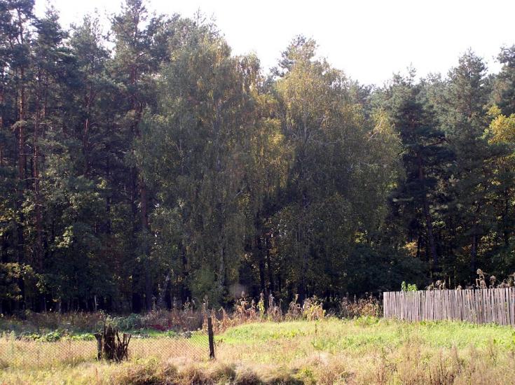 Гончарівське з panoramio.com - Goncharivske