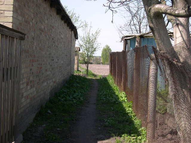 Плесецьке з panoramio.com - Plesetske