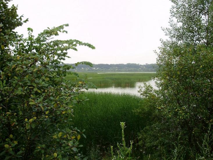 Любеч з panoramio.com - Любеч
