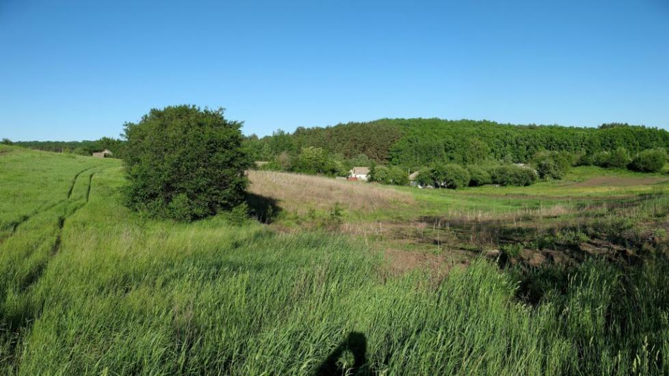 Кам'янка з panoramio.com - Kamyanka