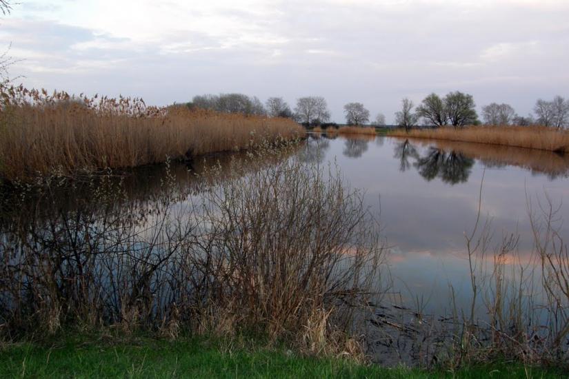 Ямпіль з panoramio.com - Yampil