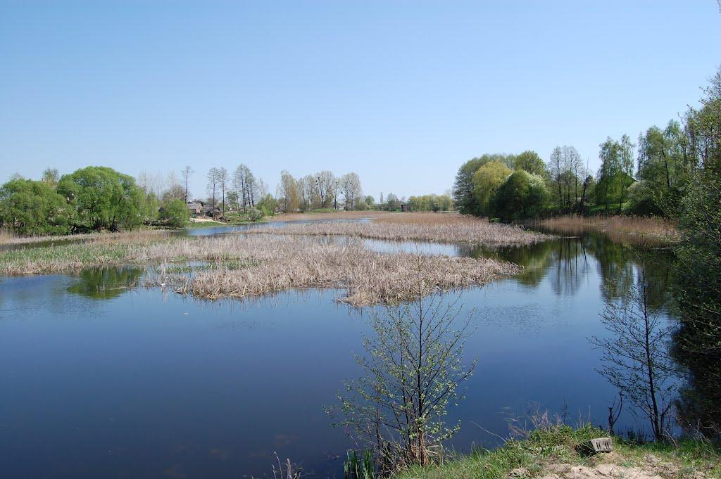 Носачевичі з panoramio.com - Носачевичі