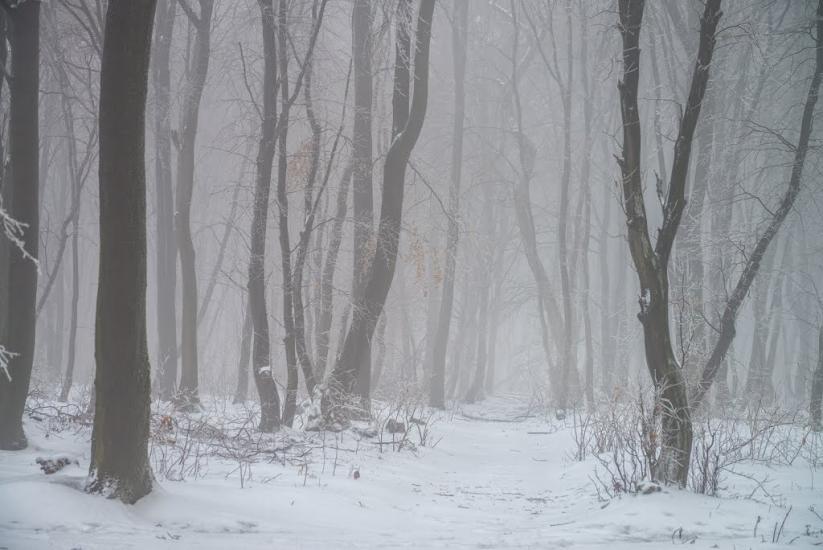 Старе Село з panoramio.com - Старое Село