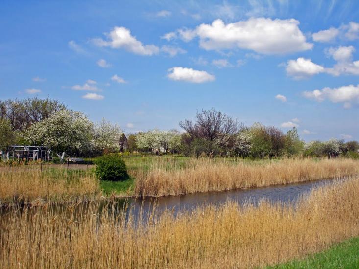 Вільний Посад з panoramio.com - Вільний Посад