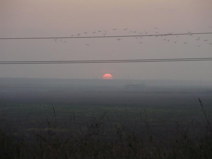 Червоний Чабан з panoramio.com - Червоный Чабан