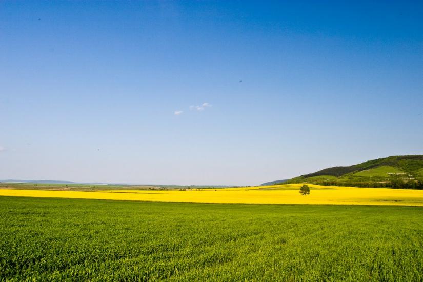 Грабово з panoramio.com - Грабово