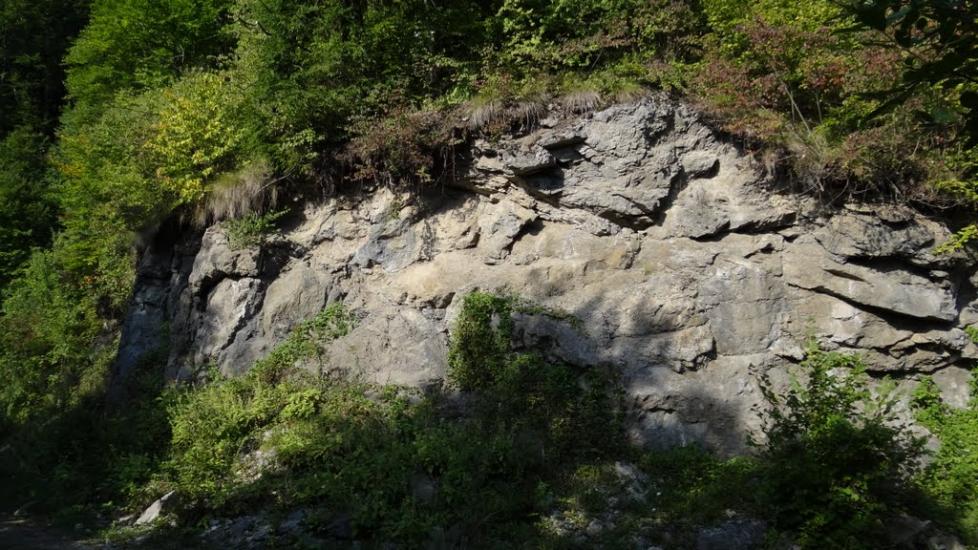 Луг з panoramio.com - Луг
