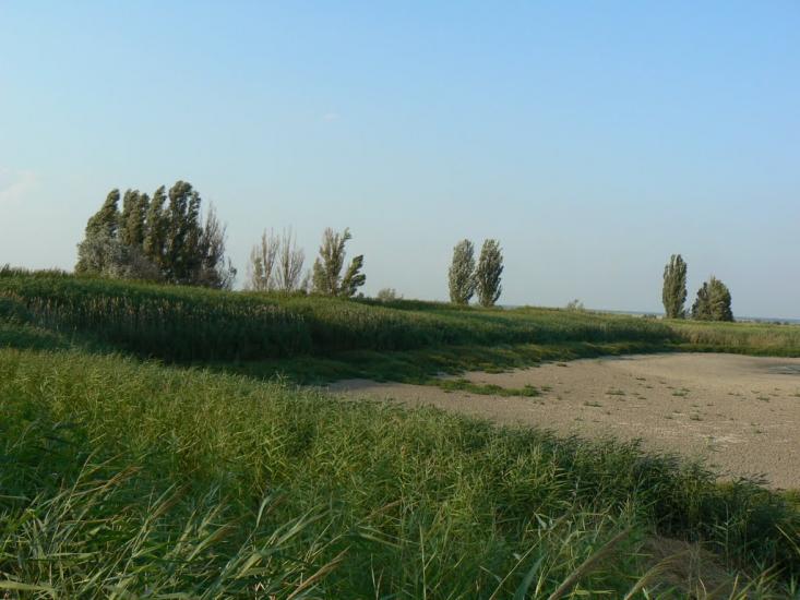 Старомлинівка з panoramio.com - Старомлинівка