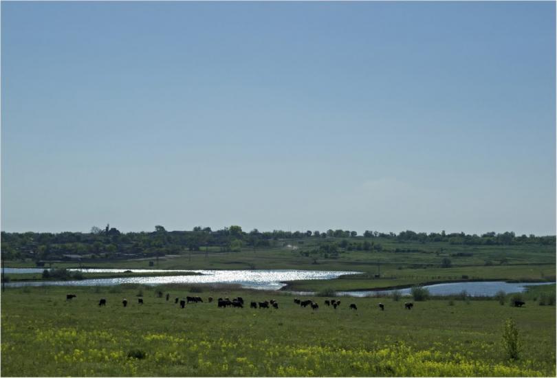 Мар'ївка з panoramio.com - Мар'ївка