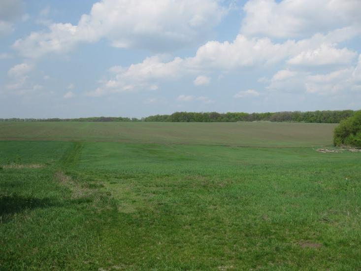 Саранчине з panoramio.com - Саранчине